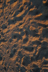 footprints in the sand