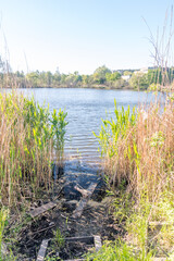 Czarne (Black) Lake at sunny day in Olsztyn, Poland.