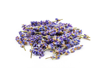 Lavender flowers isolated on white background. Close up. Space for text