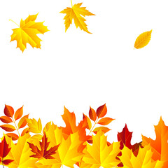 autumn leaves frame, isolated on white background. vector illustration. colorful fall red and yellow leaf Back to school border design elements