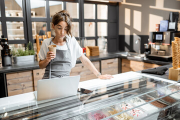Young saleswoman working with laptop at the counter in ice cream shop or cafe. Concept of a small business and retail