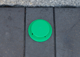 green ant bait box