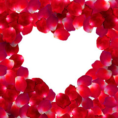 Beautiful heart of red rose petals isolated on white background. Vector illustration. EPS 10