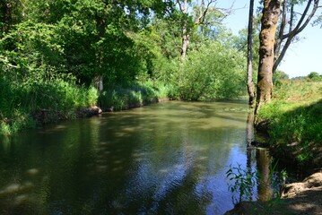 The Wey and Arun Canal in Sussex.