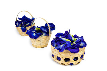 fresh butterfly pea flowers isolated on white background