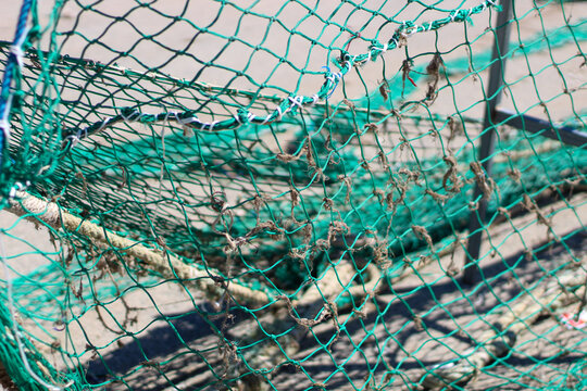 Old green and grey fishernet and other fishermens equipment, yellow and orange lifting bowls