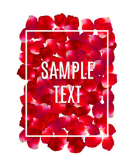 Rose Petals Border frame with text. Beauty and cosmetic background with flowers petals and place for your text. Vector illustration. EPS 10