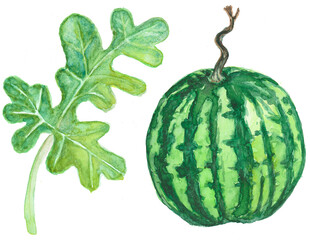 watermelon isolated on white background