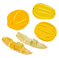 Stock vector illustration of Korean melon chamoe. Small yellow round sugar fruit. Dessert. Sugar Melon pumpkin. Sweet cantaloupe. Fresh muskmelon. Isolated on a white background. Summer vegetable