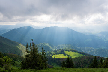 Green meadow in mountain and blue cloud sky. Composition of nature. Spring meadow. Composition of nature. Slovakia