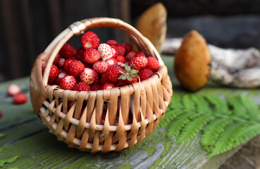 Basket of strawberries against the background of collected mushrooms, close-up, side view-the...