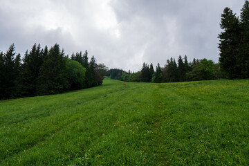panoramic view of nice green hill on blue sky background 