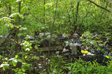 a lot of garbage in the forest