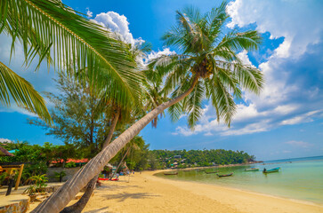 Paradise Sunny beach with palms and turquoise sea. Summer vacation and tropical beach concept.