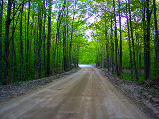 Dirt road in the fall