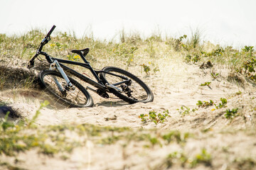 Naklejka premium mountain bike posed in a path crossing the sand dunes
