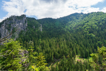 Obraz premium Big Rozsutec hill from Stefanova, Little Fatra, Slovak republic. Springtime scene. Beauty in nature.