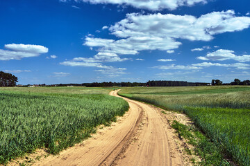 Fototapeta na wymiar Rural landscape with a dirt, sandy road and arable fields in Poland.
