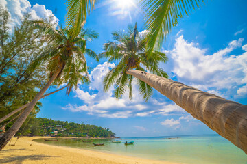 Paradise Sunny beach with palms and turquoise sea. Summer vacation and tropical beach concept.