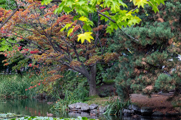 Autumn Parkland in Sapporo Japan