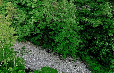 Obraz premium river with a rocky channel and green vegetation