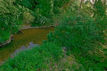 Obraz premium river with a rocky channel and green vegetation