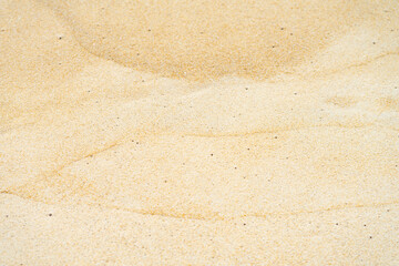 close up sand beach groud floor background for texture