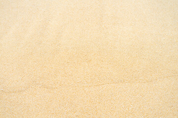 Obraz na płótnie Canvas close up sand beach groud floor background for texture