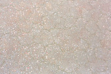 Aerial view of the salt pan and mineral crust with red algae of Lake Magadi, in the Great Rift Valley, on the border between Kenya and Tanzania. The Rift Valley contains a chain of active volcanoes.