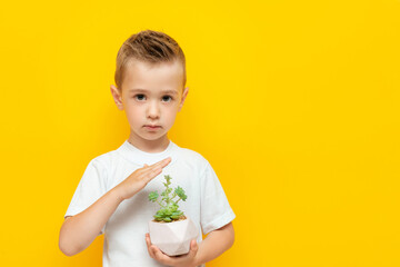 Cute little boy with a houseplant in his hand