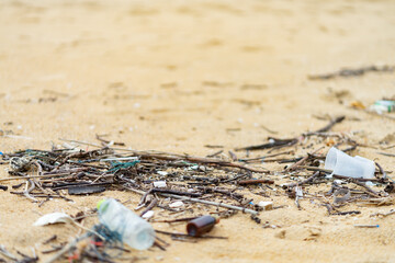 garbage plastic and dry branch tree on sand beach