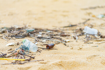 garbage plastic and dry branch tree on sand beach
