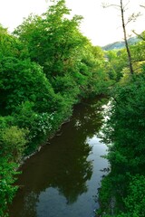 Naklejka premium river with a rocky channel and green vegetation