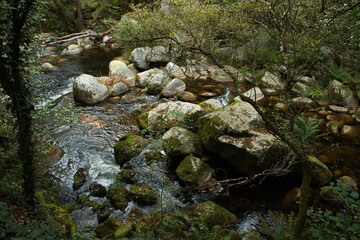 Fototapeta premium River Rio Mao in Ribeira Sacra in Galicia,Spain,Europe 