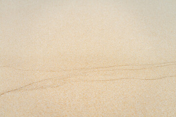 close up sand beach groud floor background for texture