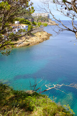 Bright blue quiet water beach landscape with green trees in a coastal landscape in Begur, Catalonia