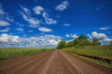 Fototapeta na wymiar Car-free, empty rural countryside road, on a sunny summer, spring day, receding into the distance, against a blue sky with white clouds and trees on the horizon, along the field