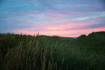 Sanft rosa Himmel zum Abend in den Dünen, ruhige Natur