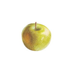 Watercolor green apple isolated on white background