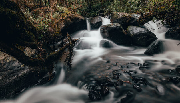 Close up of a stream in the forest of the Ajusco, State of Mexico, water that flows through a small stream that has slopes and creates mini waterfalls.