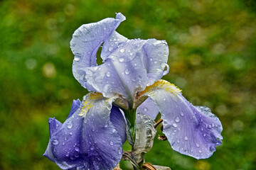 rainy day feeling