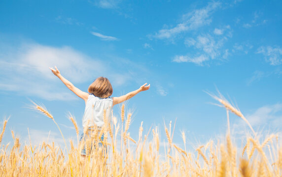 teenager girl with hands up in a wheat field on a sunny day, view of a girl from the back