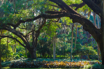 Florida Botanical Gardens, Washington Oaks State Park