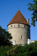 Fototapeta na wymiar Talliinn, Estonia city wall and tower
