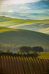 Crédence de cuisine en verre imprimé Vignoble Tuscany landscape at sunrise. Typical for the region tuscan farm house, hills, vineyard. Italy