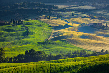 Fototapeta na wymiar Tuscany landscape at sunrise. Typical for the region tuscan farm house, hills, vineyard. Italy