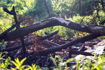Carbonized wood and metal parts after a fire of a burned-out wooden house in a clearing among green grass and trees. Close-up.