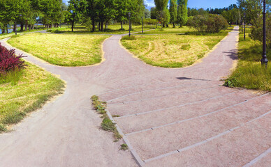 Fototapeta na wymiar The wide road is divided into three alleys in the park, going in different directions. Conceptual summer landscape