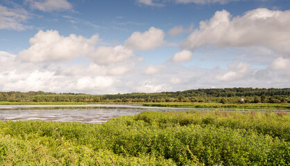 Wetlands in the Marais d’Orx, the Orx Marsh, a Natural Reserve located in New Aquitaine, The Landes Department, France