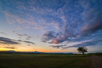 Lone tree and magic colorful sunlight at dusk over the fields of l'Ile d'Orleans, Quebec, Canada
